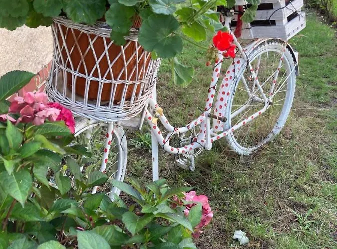 Guest House Dommitzsch 3*