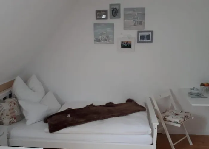 Guest House Dommitzsch Guest house 3*